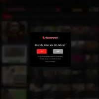 Die besten Sexfilme & Sexvideos von heißen Pornostars in HD